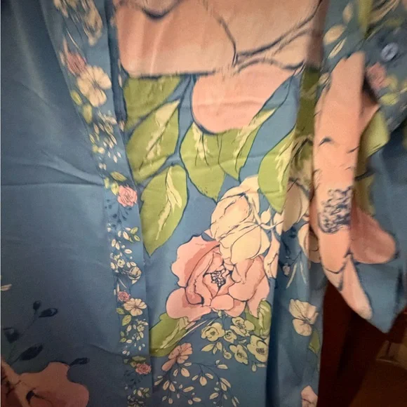 Rachel Zoe Sky Blue Floral Button-Down Shirt with Pink Roses - Picture 8 of 8